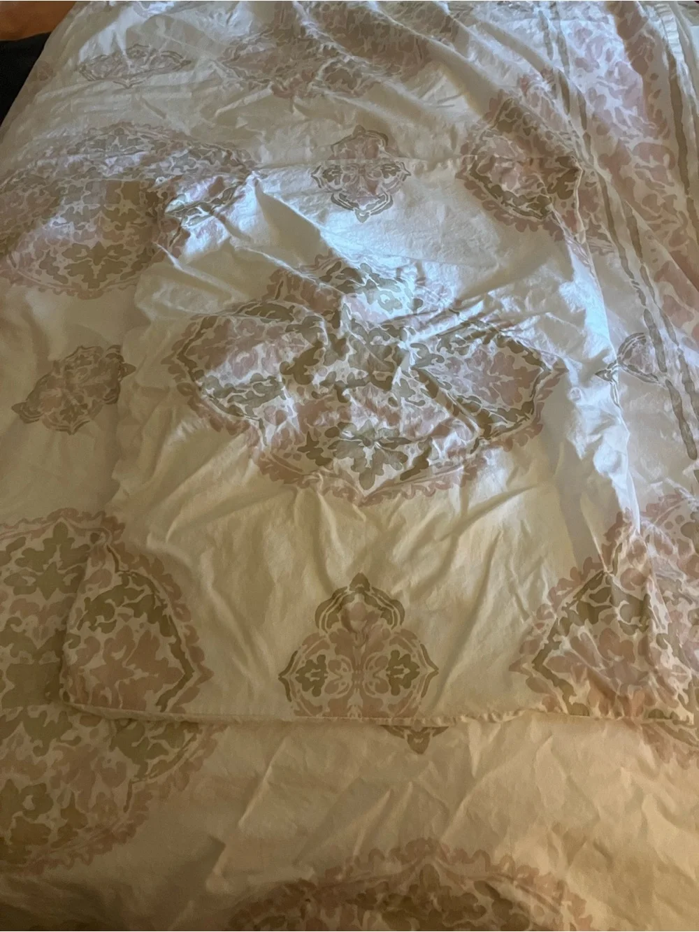 Pottery Barn Teen Twin/TwinXL Duvet Cover and Sham